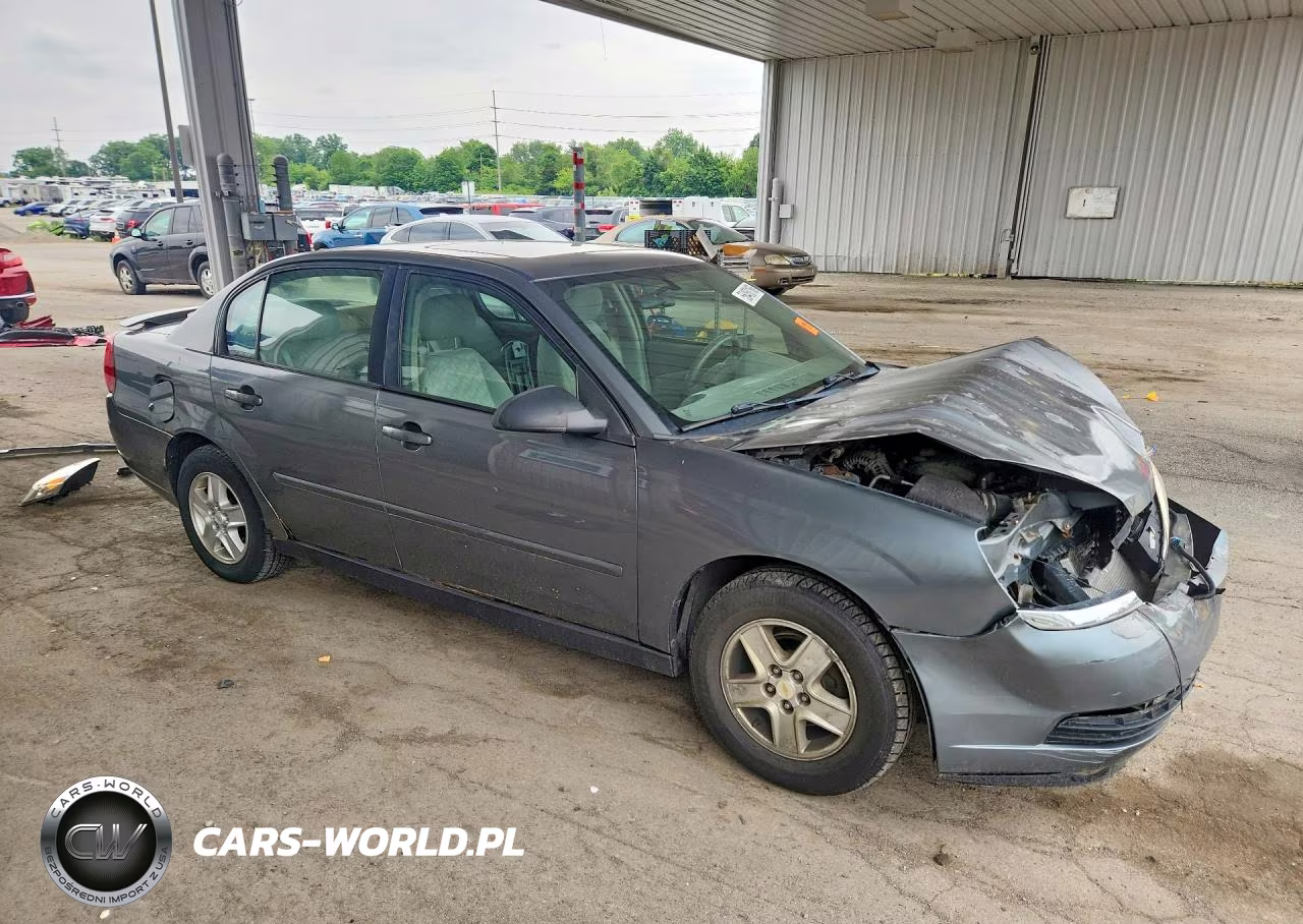2004 Chevrolet Malibu Ls VIN:1G1ZT548X4F150091 - 4