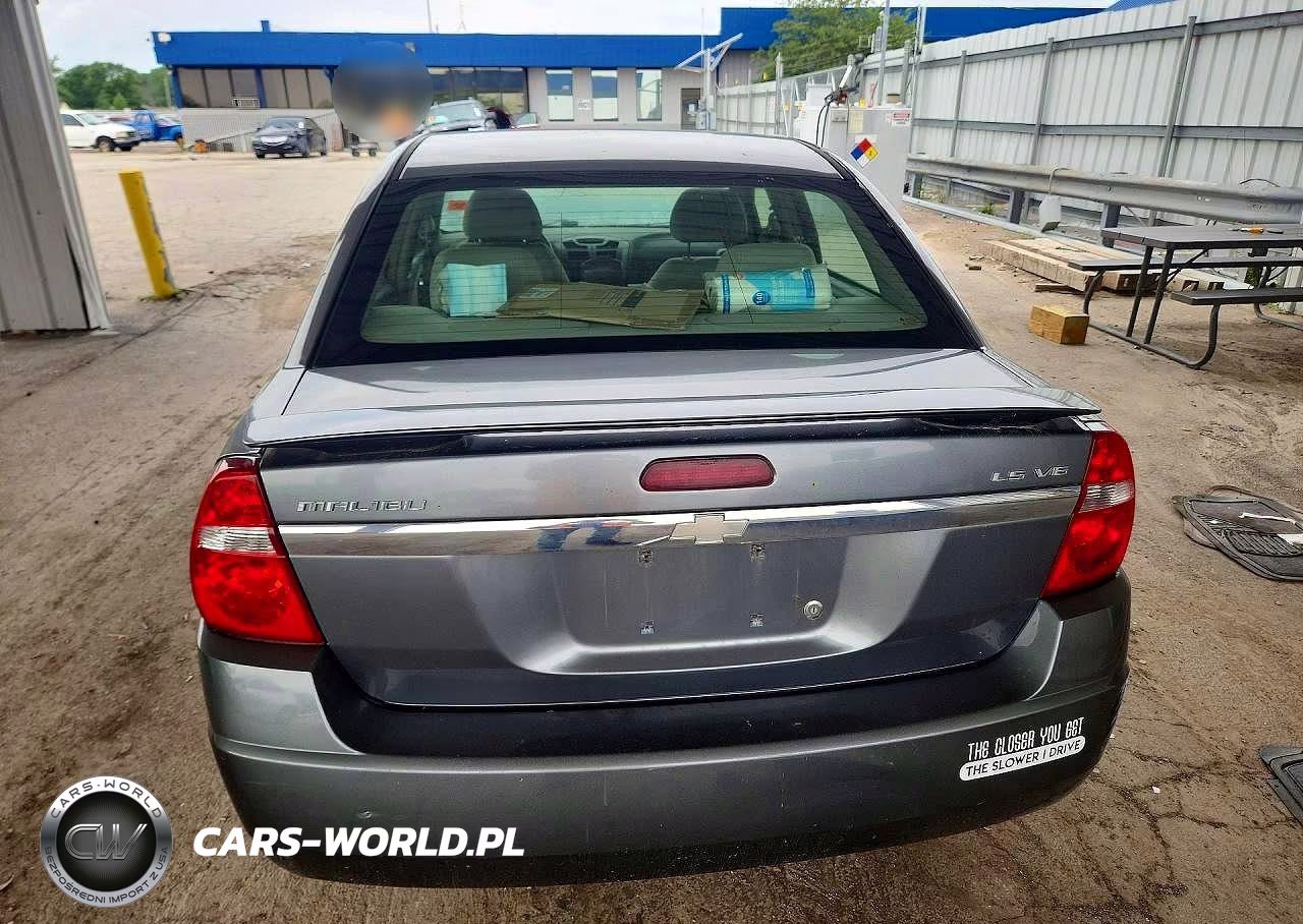 2004 Chevrolet Malibu Ls VIN:1G1ZT548X4F150091 - 6