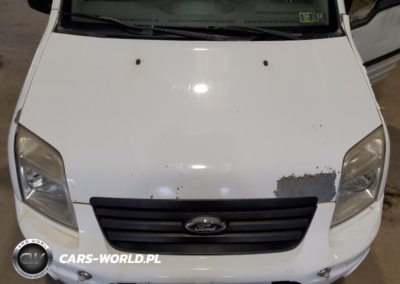 2013 Ford Transit Connect Xlt VIN:NM0LS6BN0DT160125 - 11