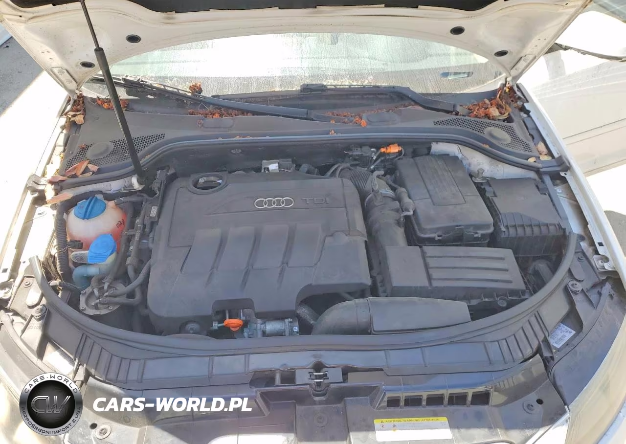 2013 Audi A3 Premium Plus VIN:WAUKJAFM2DA022343 - 11