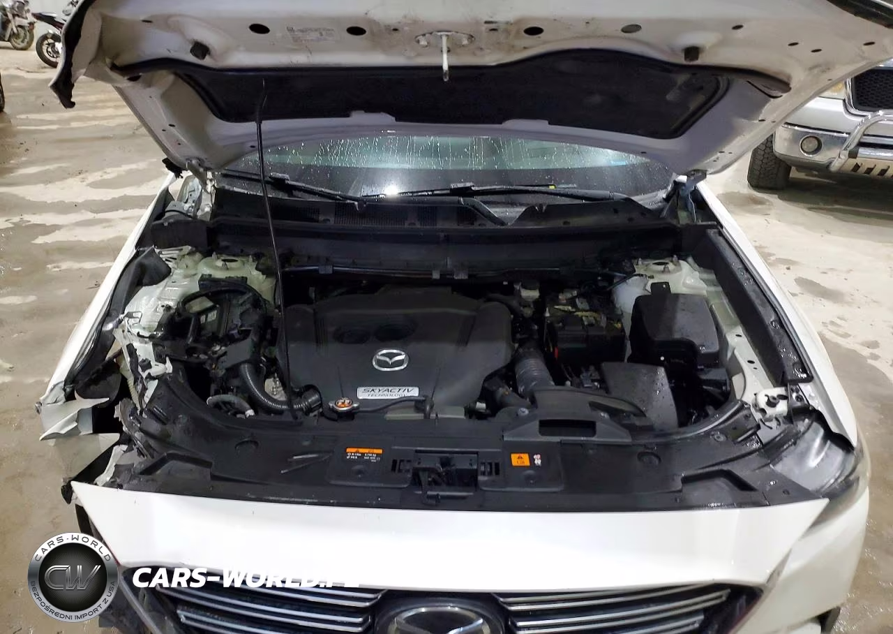 2017 Mazda Cx-9 Signature VIN:JM3TCBEYXH0128926 - 12