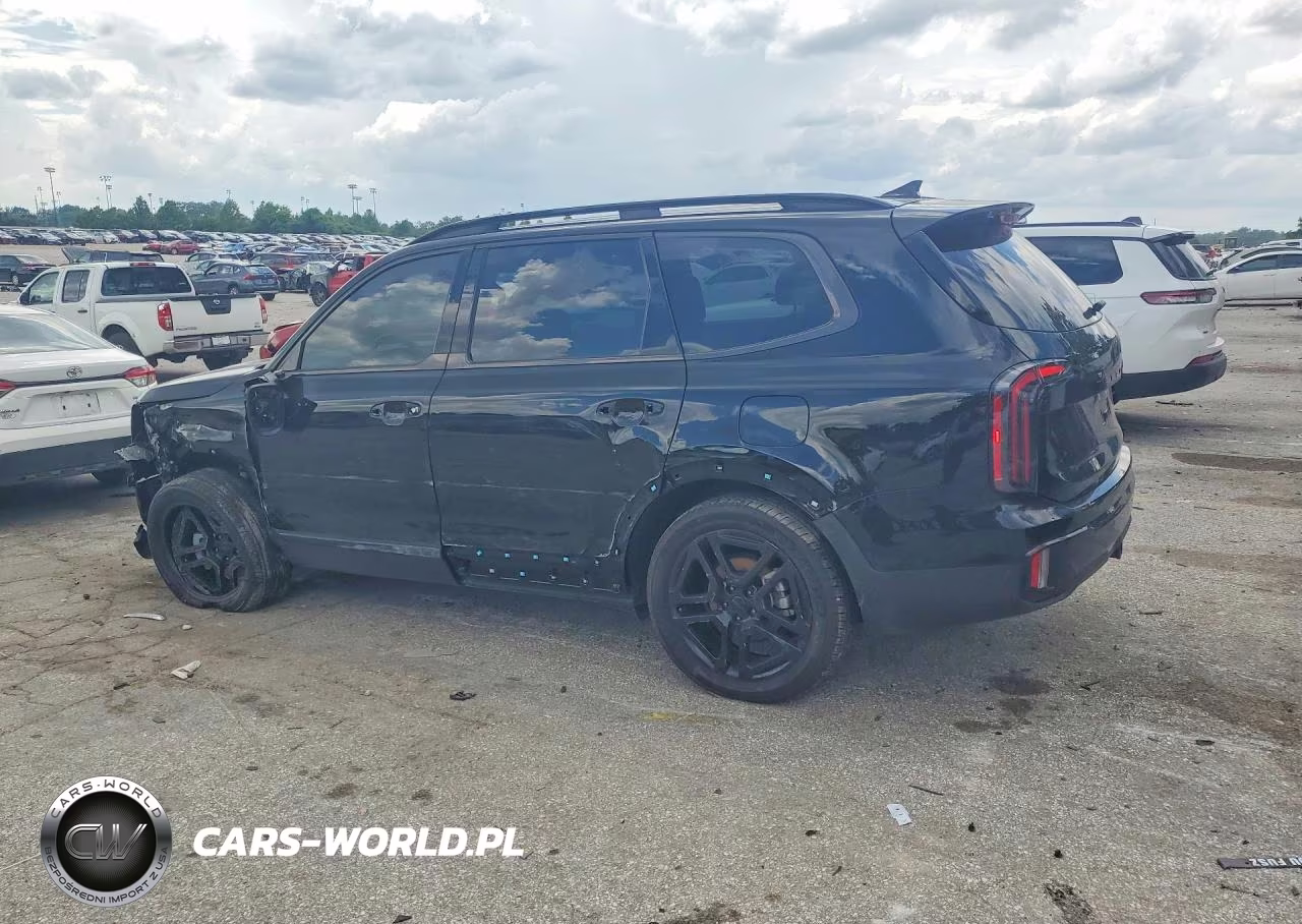2025 Kia Telluride Ex X-Line VIN:5XYP3DGC1SG686155 - 2