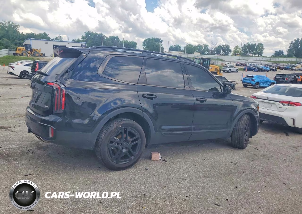 2025 Kia Telluride Ex X-Line VIN:5XYP3DGC1SG686155 - 3