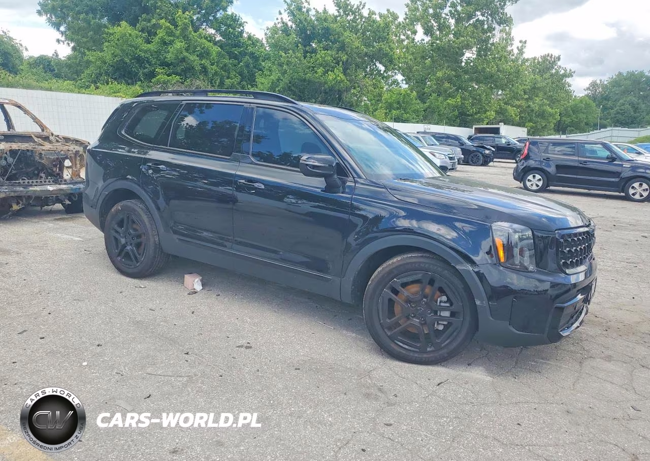 2025 Kia Telluride Ex X-Line VIN:5XYP3DGC1SG686155 - 4