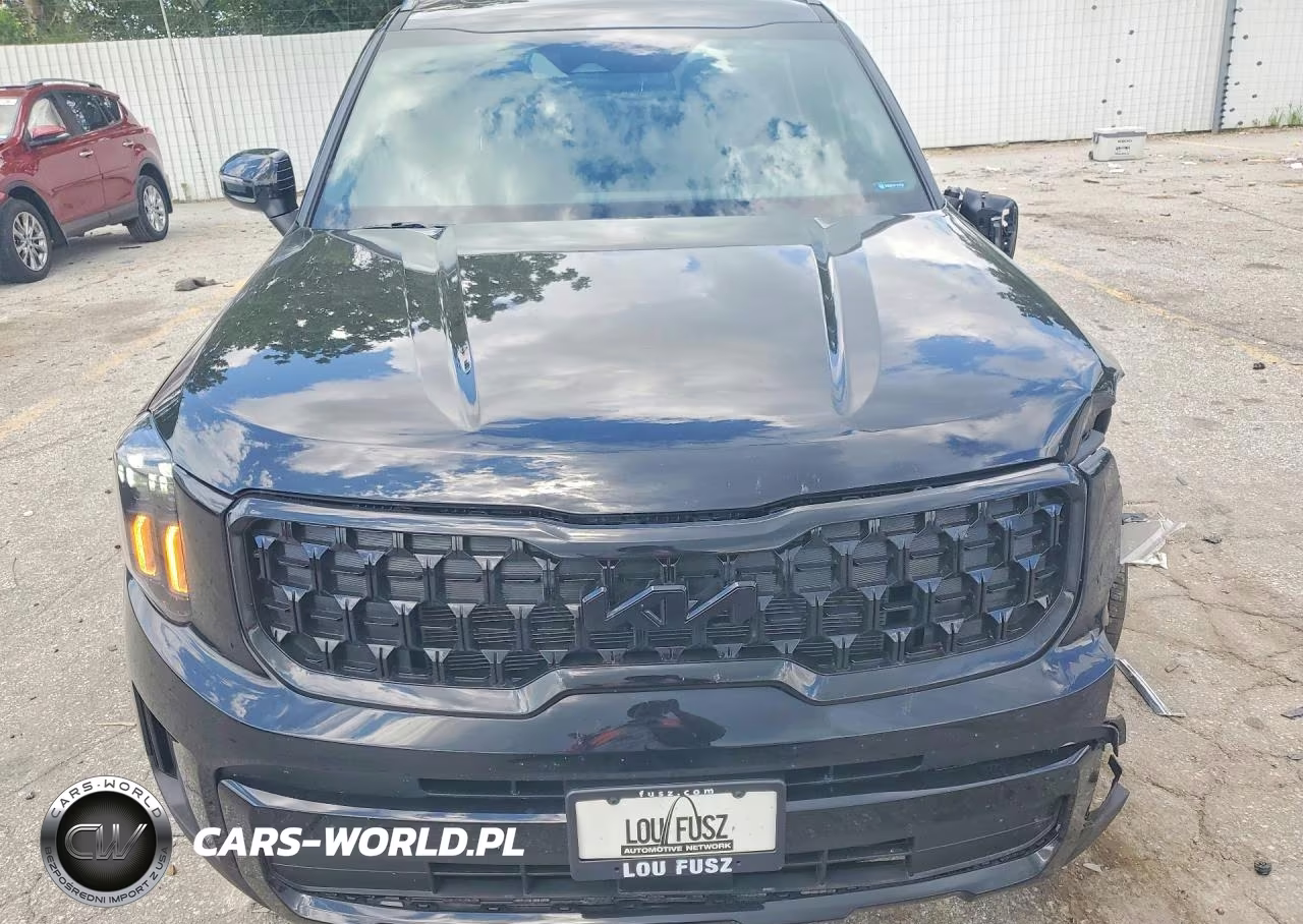 2025 Kia Telluride Ex X-Line VIN:5XYP3DGC1SG686155 - 5