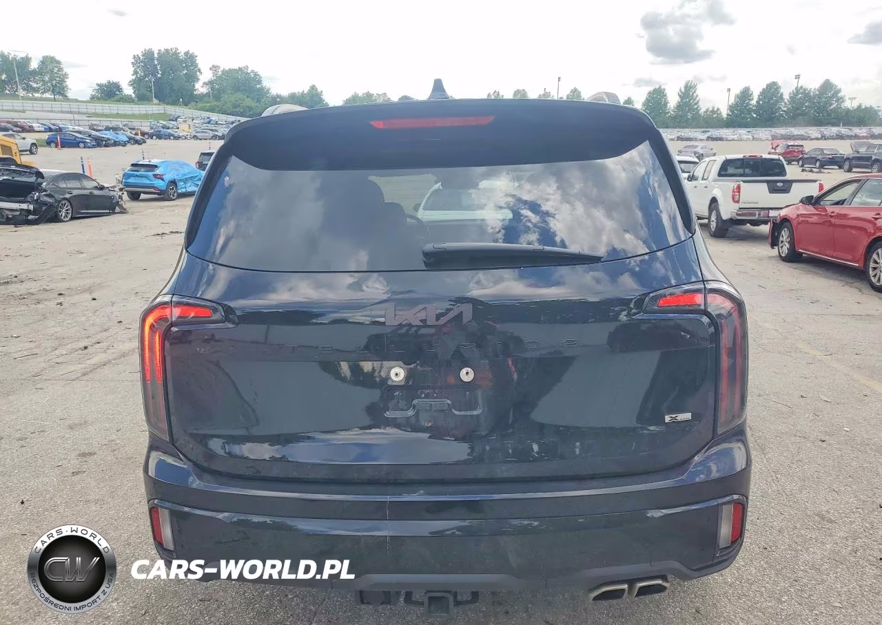 2025 Kia Telluride Ex X-Line VIN:5XYP3DGC1SG686155 - 6