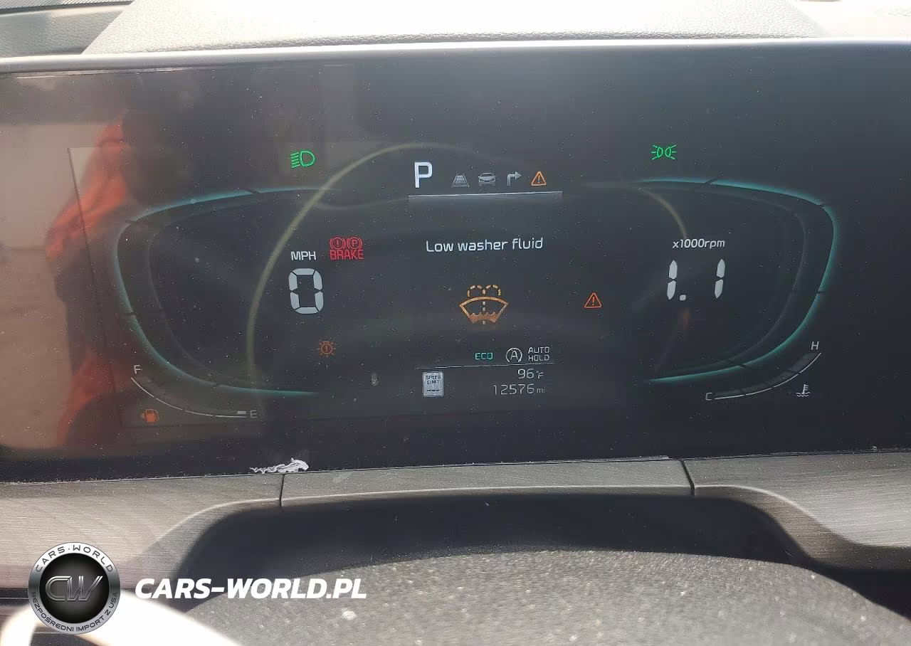 2025 Kia Telluride Ex X-Line VIN:5XYP3DGC1SG686155 - 9