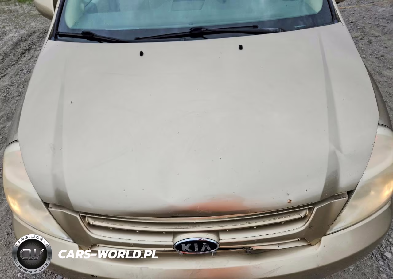 2009 Kia Sedona Lx VIN:KNDMB233996279553 - 12