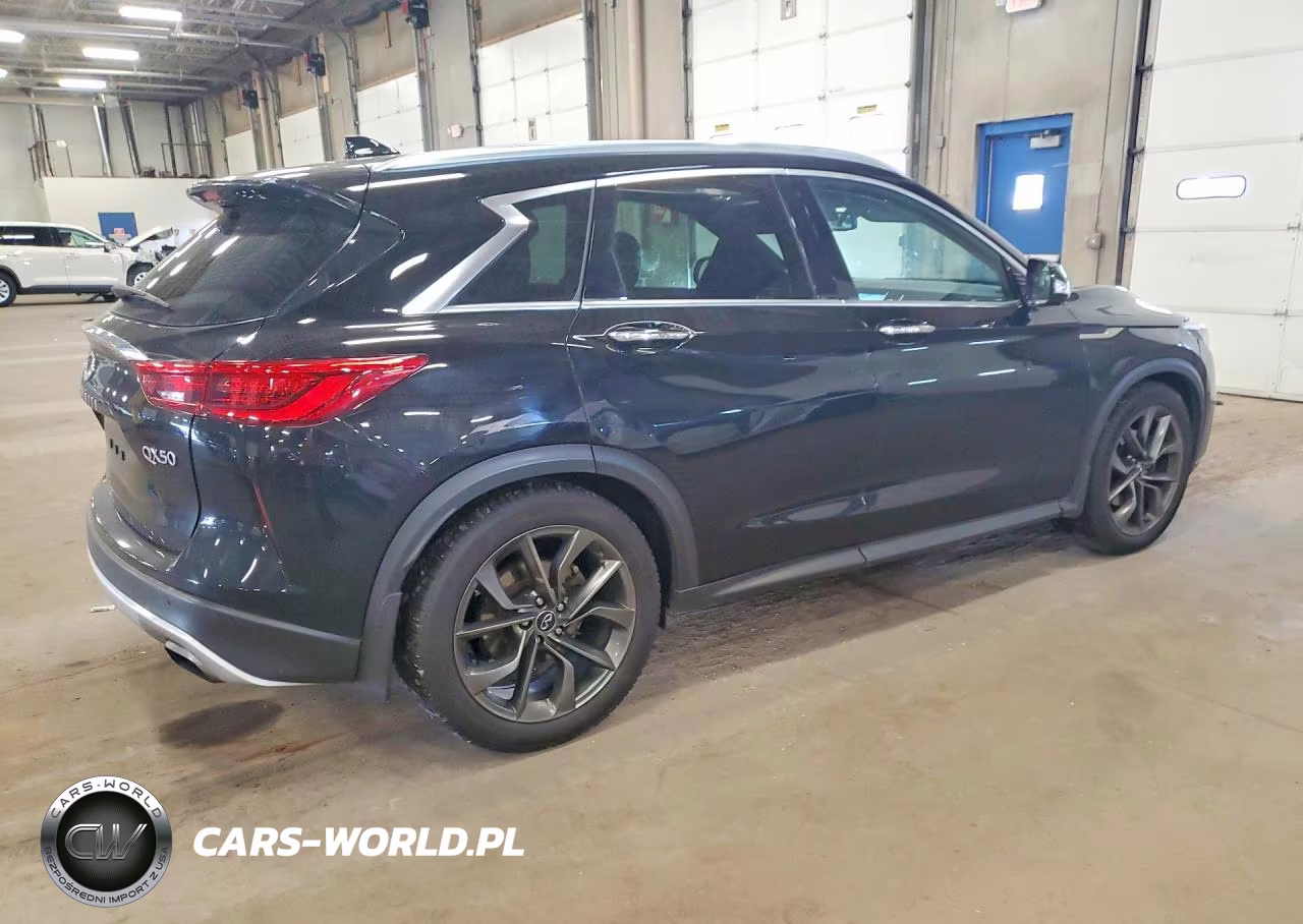 2019 Infiniti Qx50 Essential VIN:3PCAJ5M32KF101225 - 3