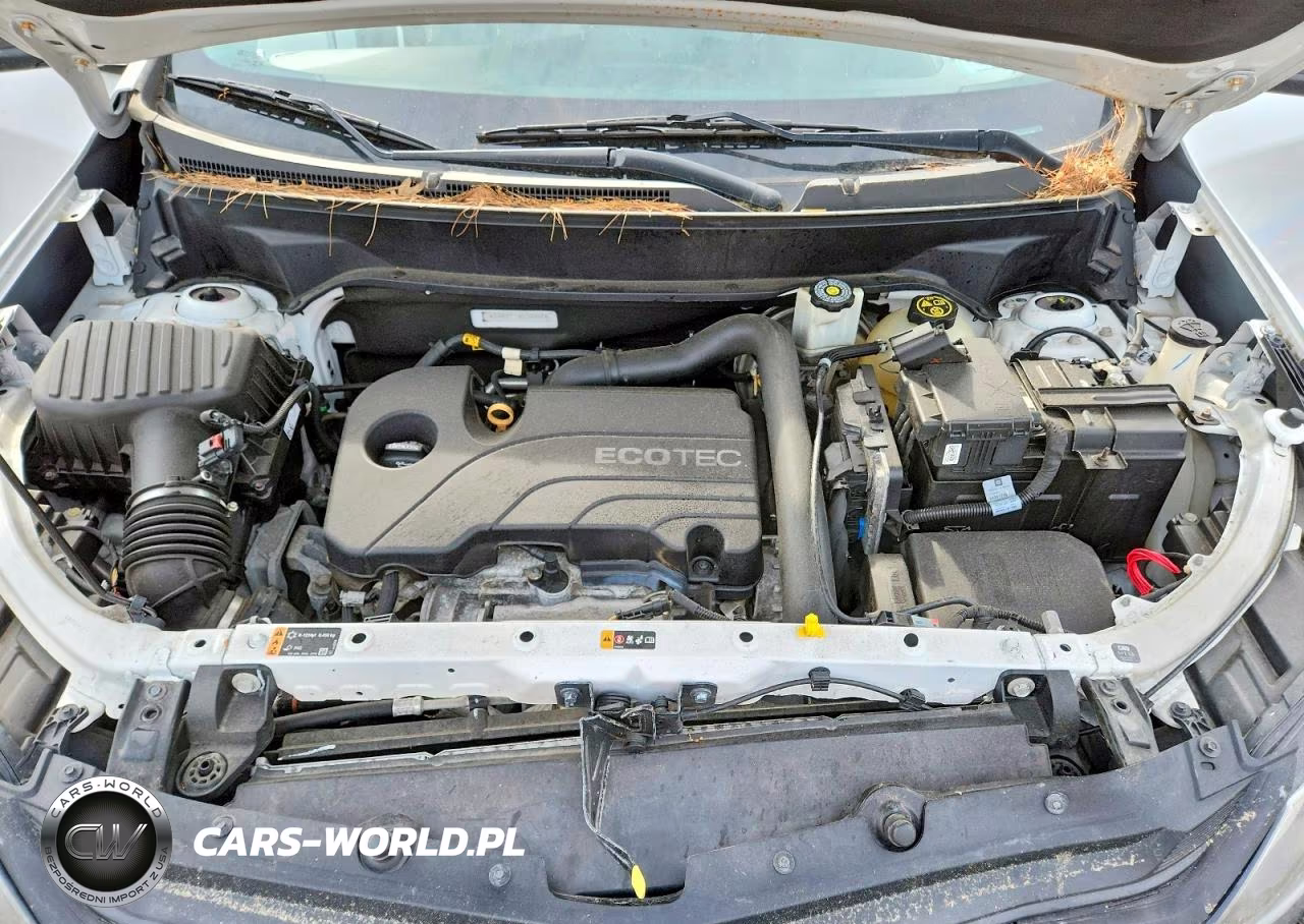2019 Chevrolet Equinox Ls VIN:3GNAXHEV8KL200446 - 12