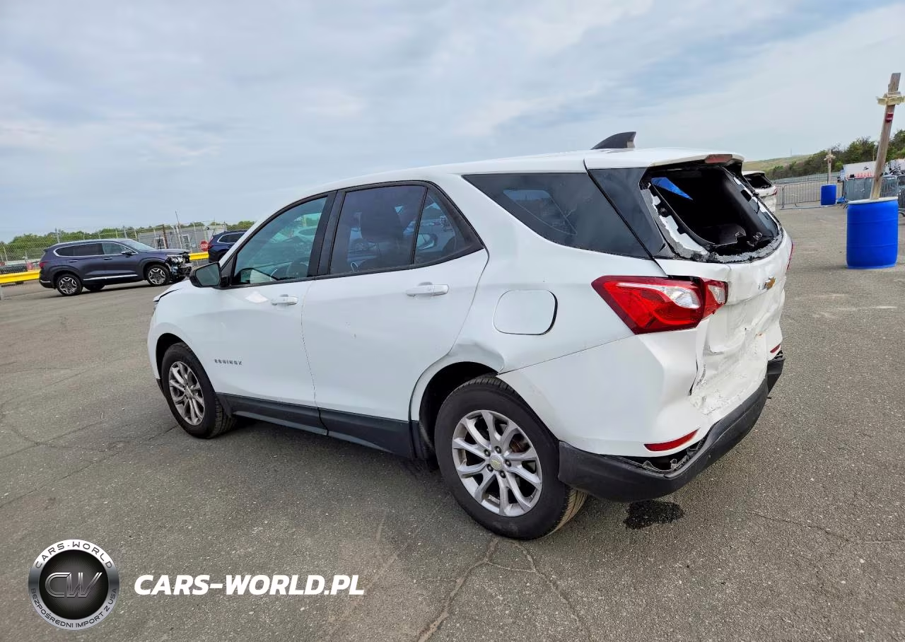 2019 Chevrolet Equinox Ls VIN:3GNAXHEV8KL200446 - 2