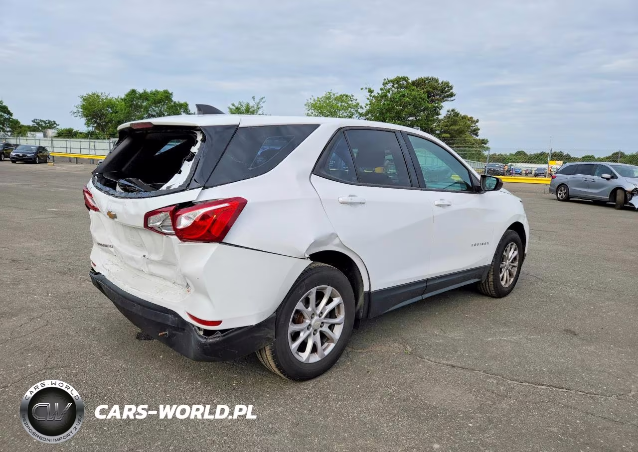 2019 Chevrolet Equinox Ls VIN:3GNAXHEV8KL200446 - 3