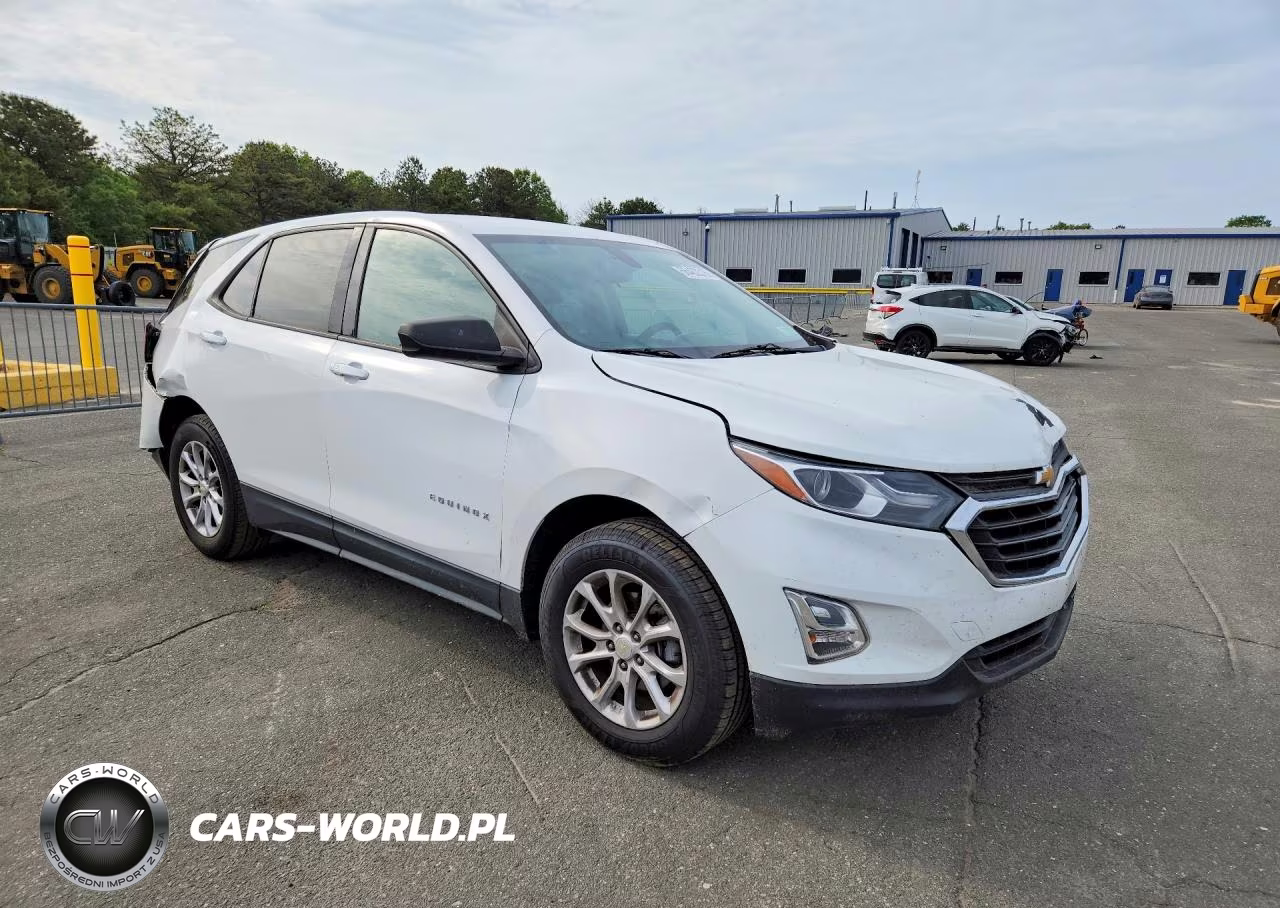 2019 Chevrolet Equinox Ls VIN:3GNAXHEV8KL200446 - 4