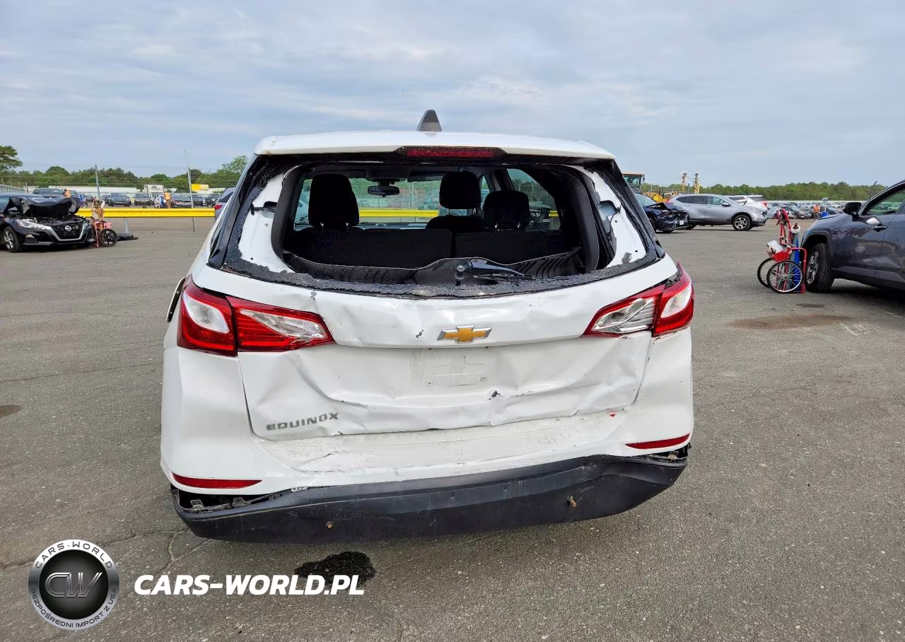 2019 Chevrolet Equinox Ls VIN:3GNAXHEV8KL200446 - 6