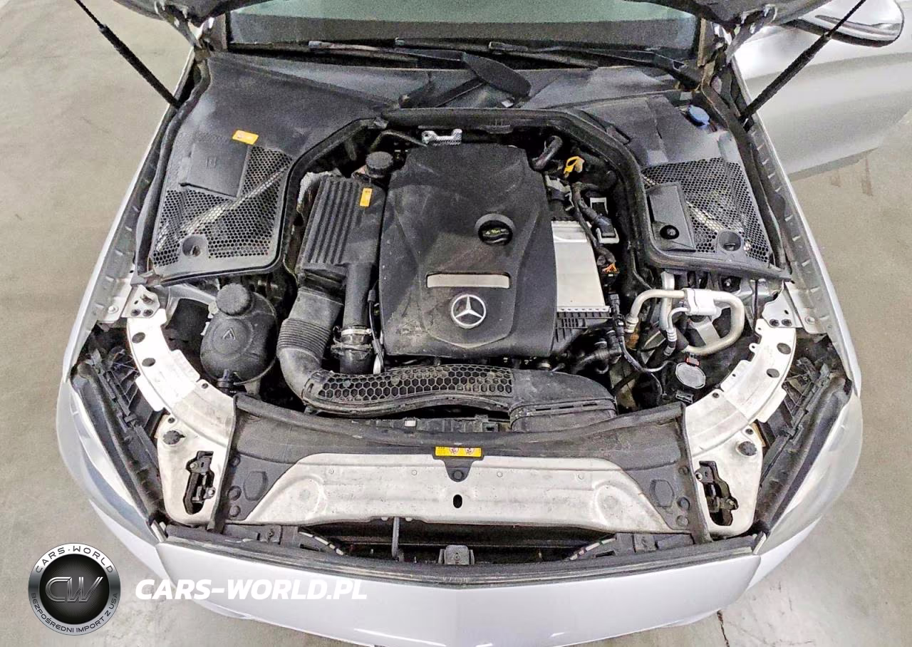 2016 Mercedes-Benz C 300 VIN:55SWF4JB0GU123274 - 11