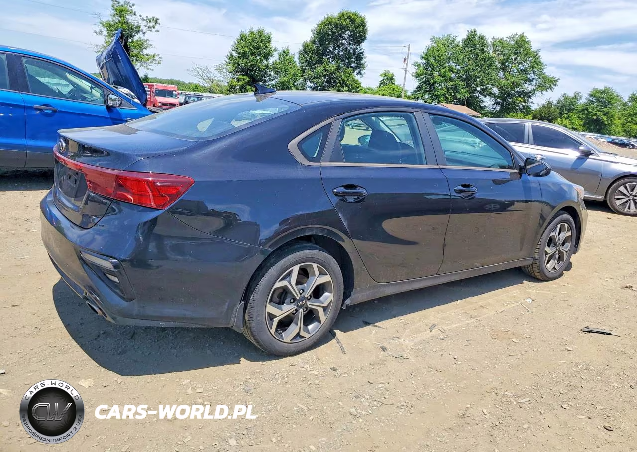 2019 Kia Forte Lxs VIN:3KPF24AD0KE087440 - 3