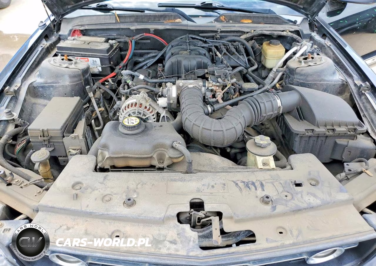 2007 Ford Mustang VIN:1ZVHT80N575254429 - 11