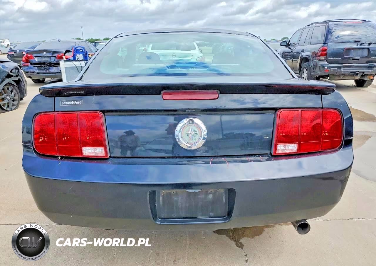 2007 Ford Mustang VIN:1ZVHT80N575254429 - 6
