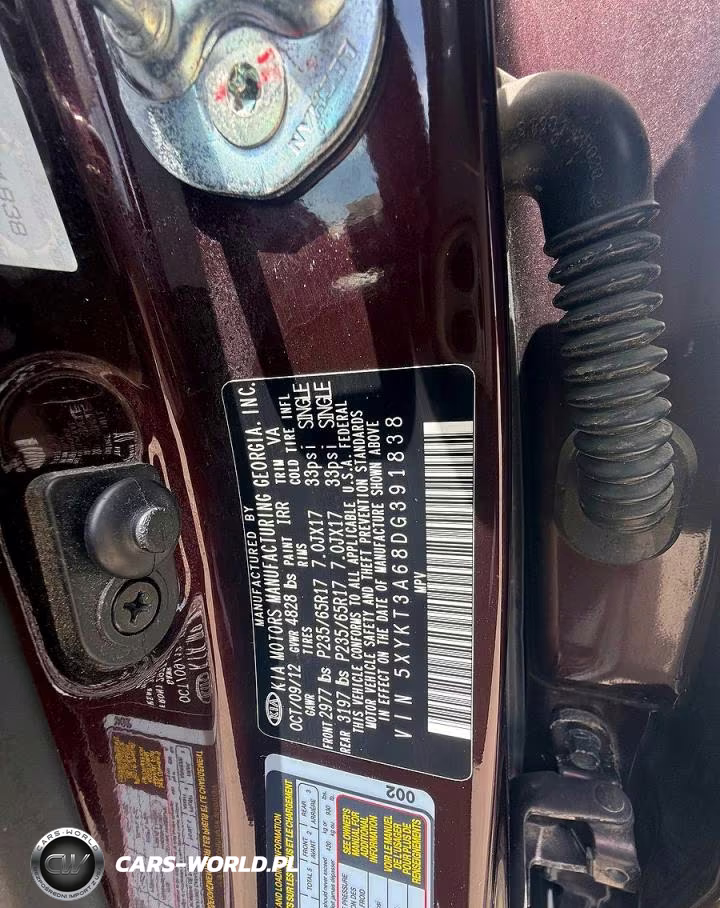 2013 Kia Sorento Lx VIN:5XYKT3A68DG391838 - 10