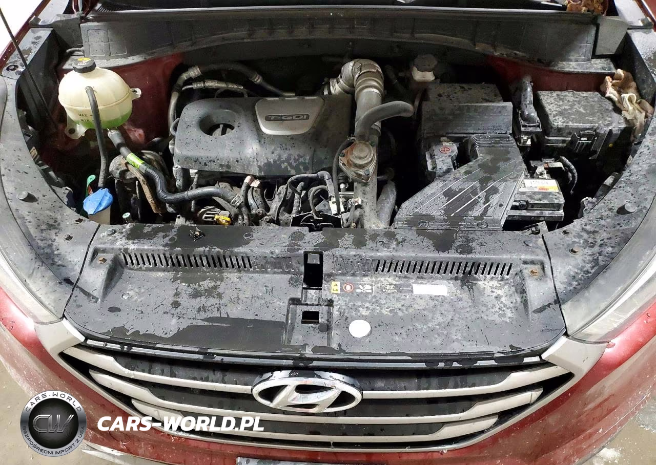 2018 Hyundai Tucson Value VIN:KM8J3CA28JU775584 - 12