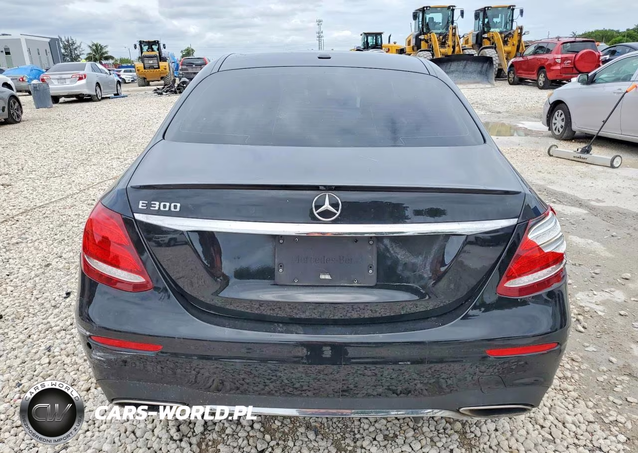 2019 Mercedes-Benz E 300 VIN:WDDZF4JB4KA517429 - 6