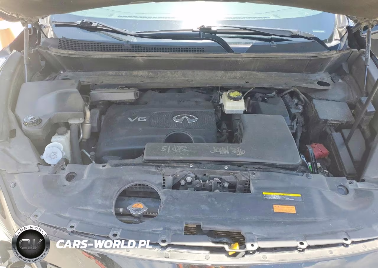 2019 Infiniti Qx60 Pure VIN:5N1DL0MN5KC534249 - 12