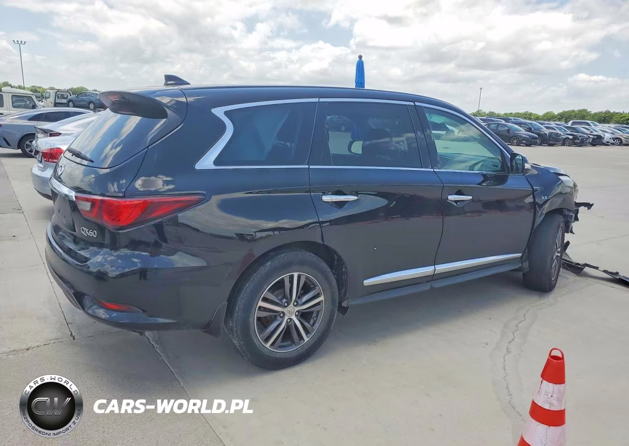 2019 Infiniti Qx60 Pure VIN:5N1DL0MN5KC534249 - 3