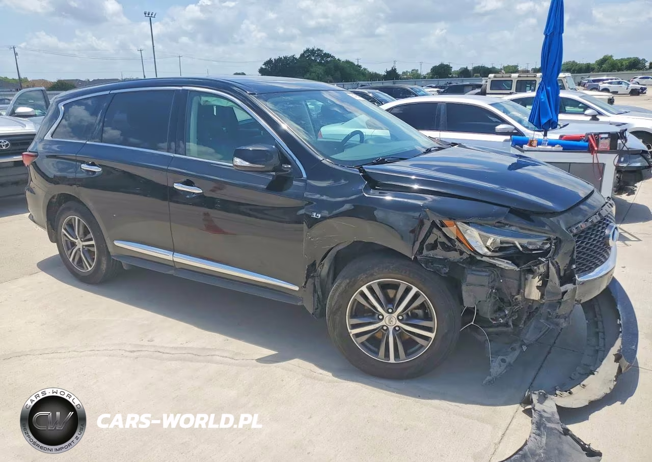 2019 Infiniti Qx60 Pure VIN:5N1DL0MN5KC534249 - 4