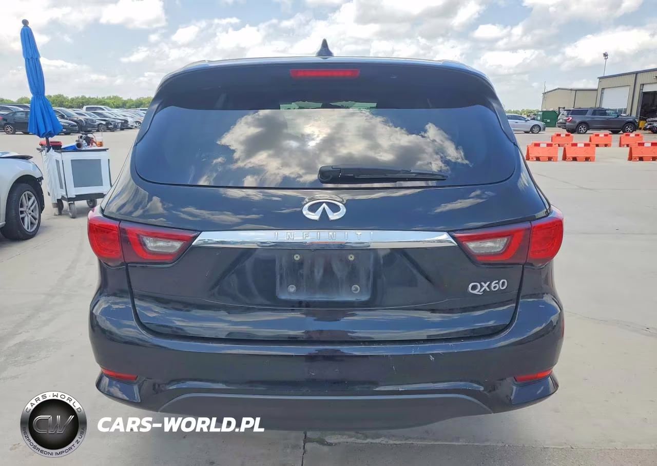 2019 Infiniti Qx60 Pure VIN:5N1DL0MN5KC534249 - 6