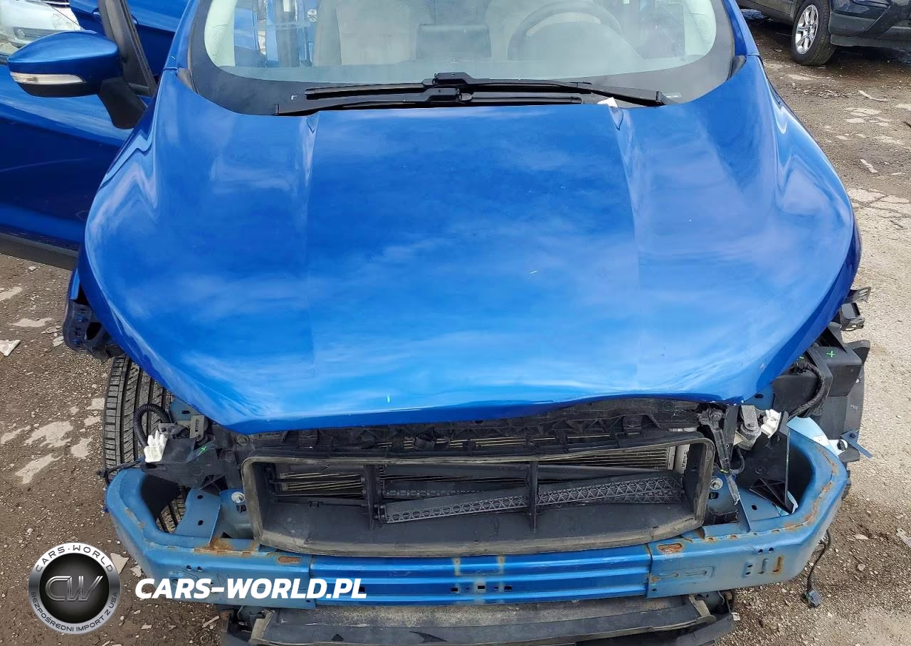 2021 Ford Ecosport Se VIN:MAJ6S3GL7MC409029 - 12