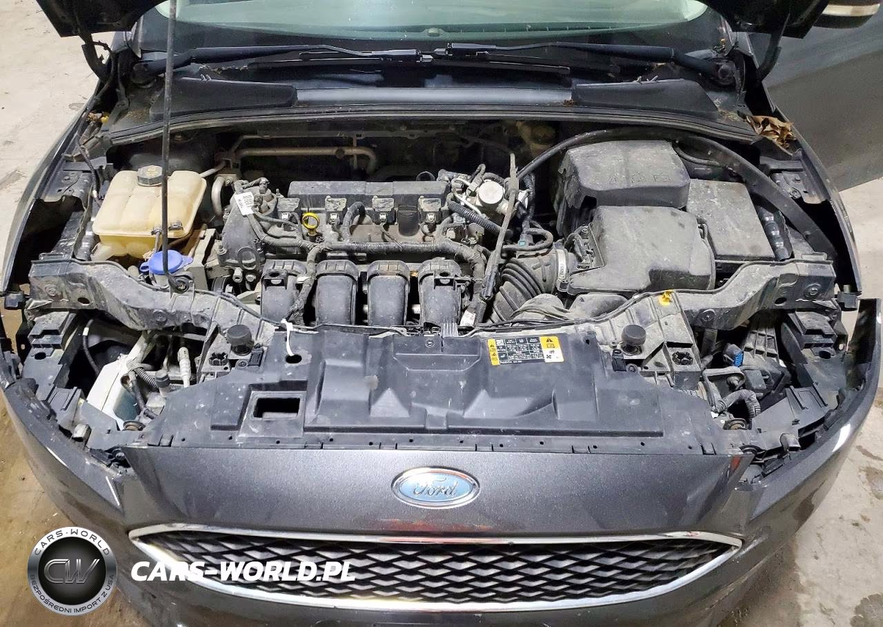 2016 Ford Focus Se VIN:1FADP3F26GL373744 - 11