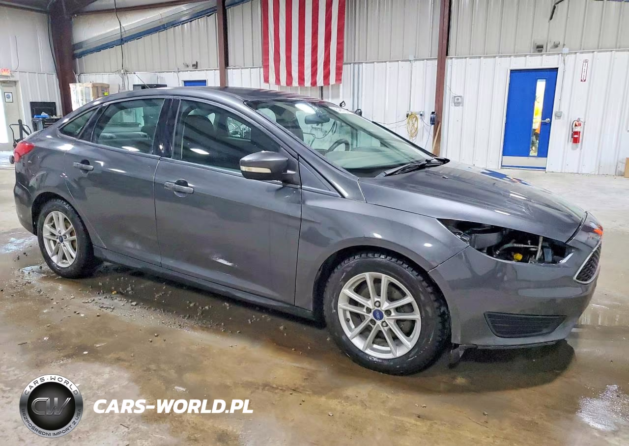 2016 Ford Focus Se VIN:1FADP3F26GL373744 - 4