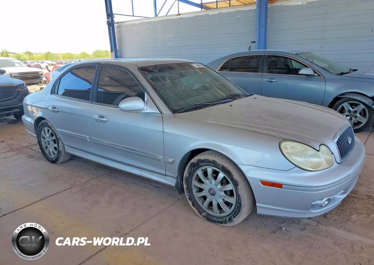 2004 Hyundai Sonata Gls VIN:KMHWF35H14A922541 - 4