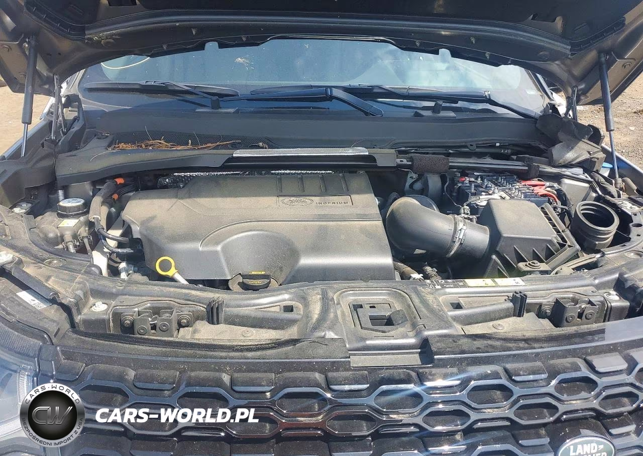 2023 Land Rover Discovery Sport Se VIN:SALCP2FX1PH321641 - 11