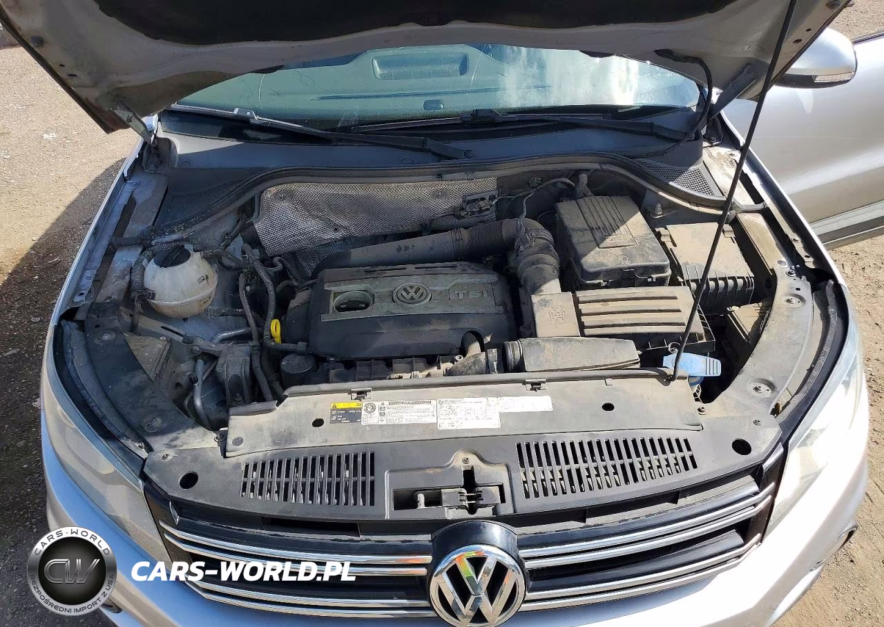 2016 Volkswagen Tiguan S VIN:WVGAV7AX9GW554280 - 12