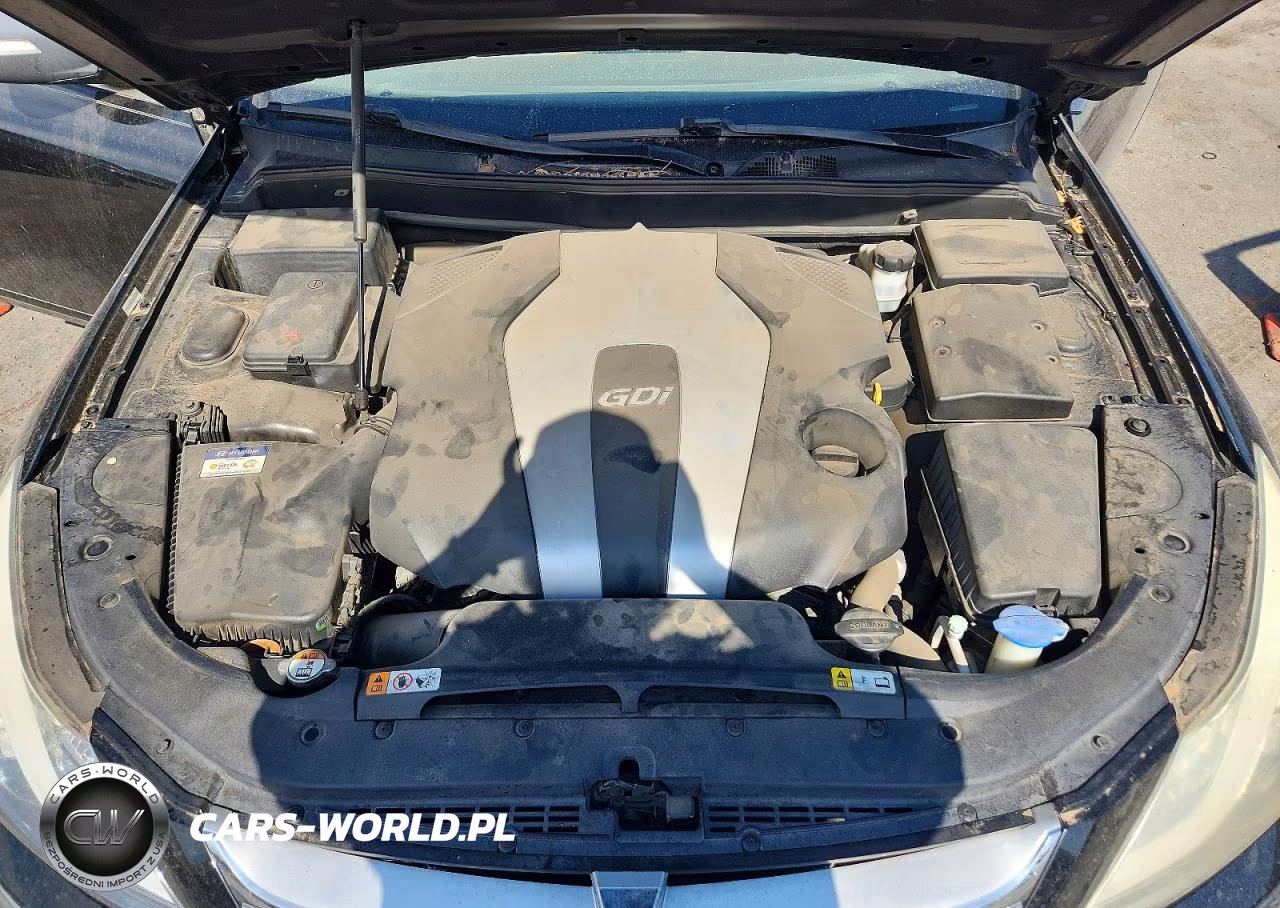 2013 Hyundai Genesis 3.8L VIN:KMHGC4DD5DU224983 - 11