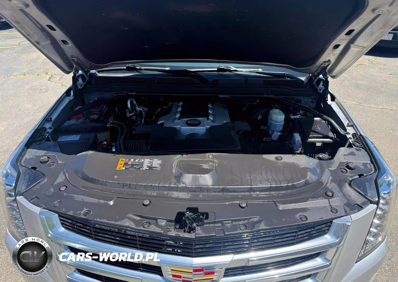 2020 Cadillac Escalade Luxury VIN:1GYS4BKJ6LR156326 - 11