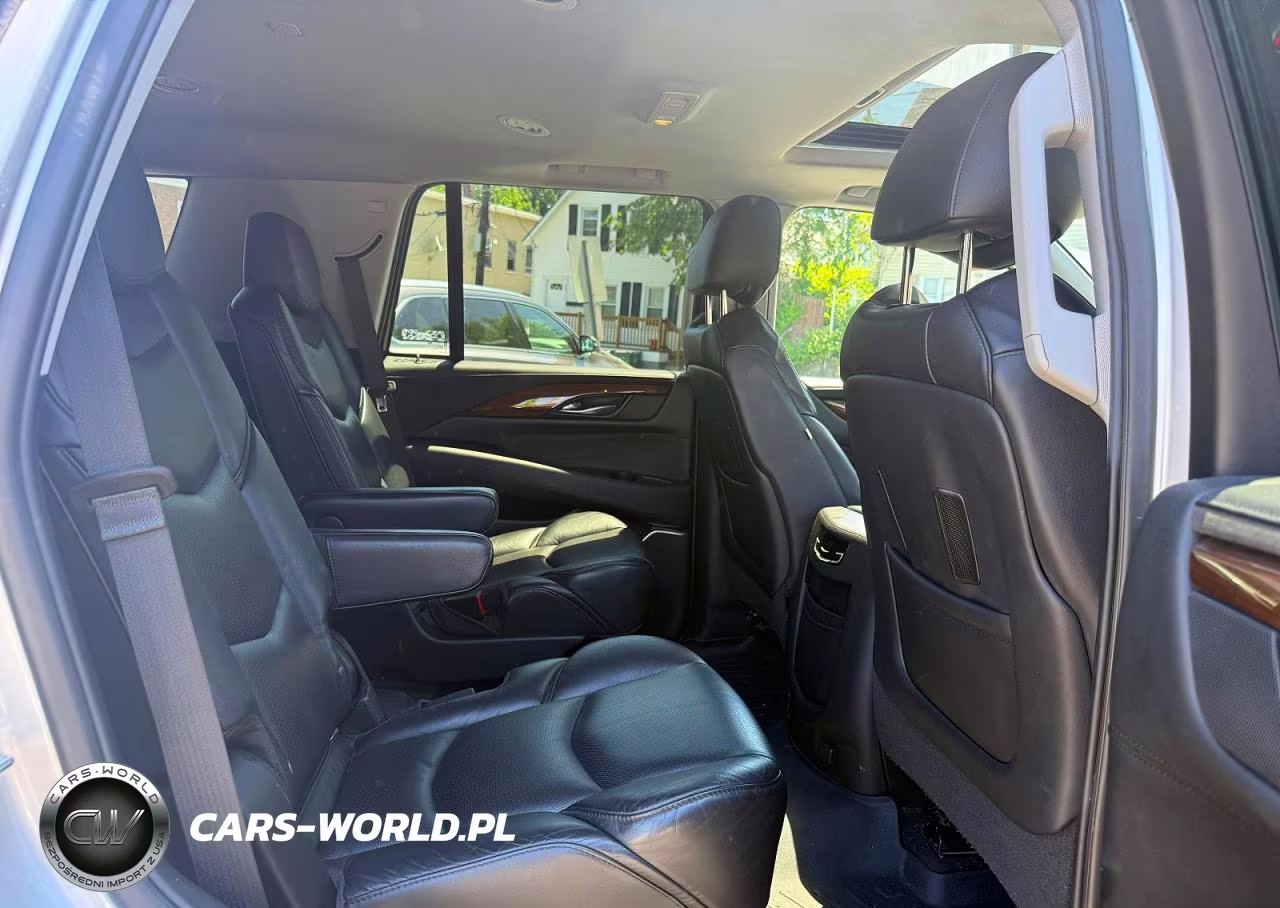 2020 Cadillac Escalade Luxury VIN:1GYS4BKJ6LR156326 - 6