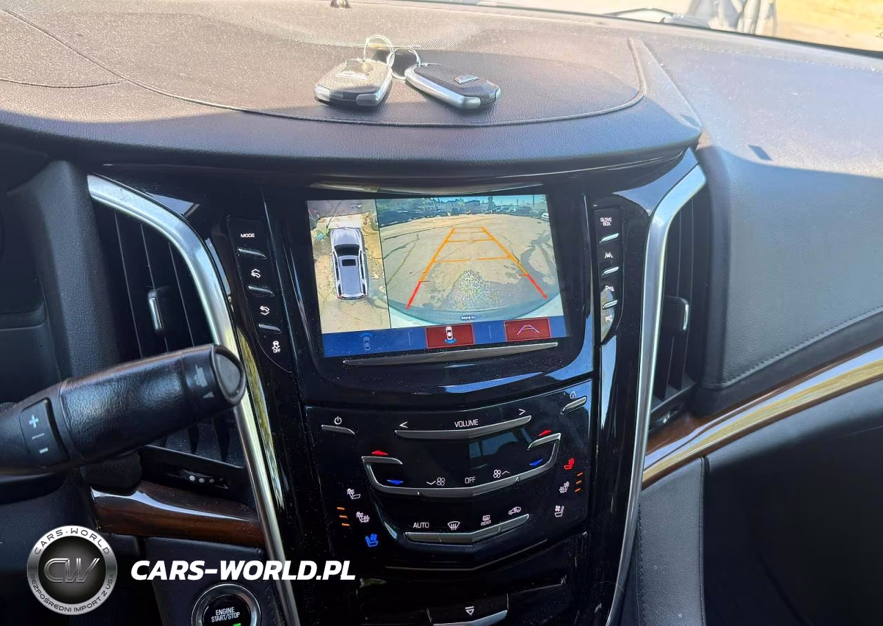 2020 Cadillac Escalade Luxury VIN:1GYS4BKJ6LR156326 - 9