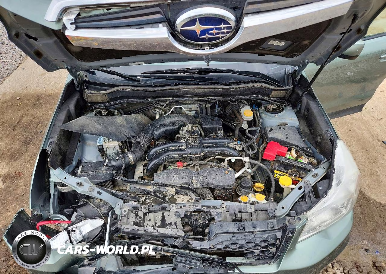 2014 Subaru Forester 2.5I Premium VIN:JF2SJAEC1EH403476 - 12