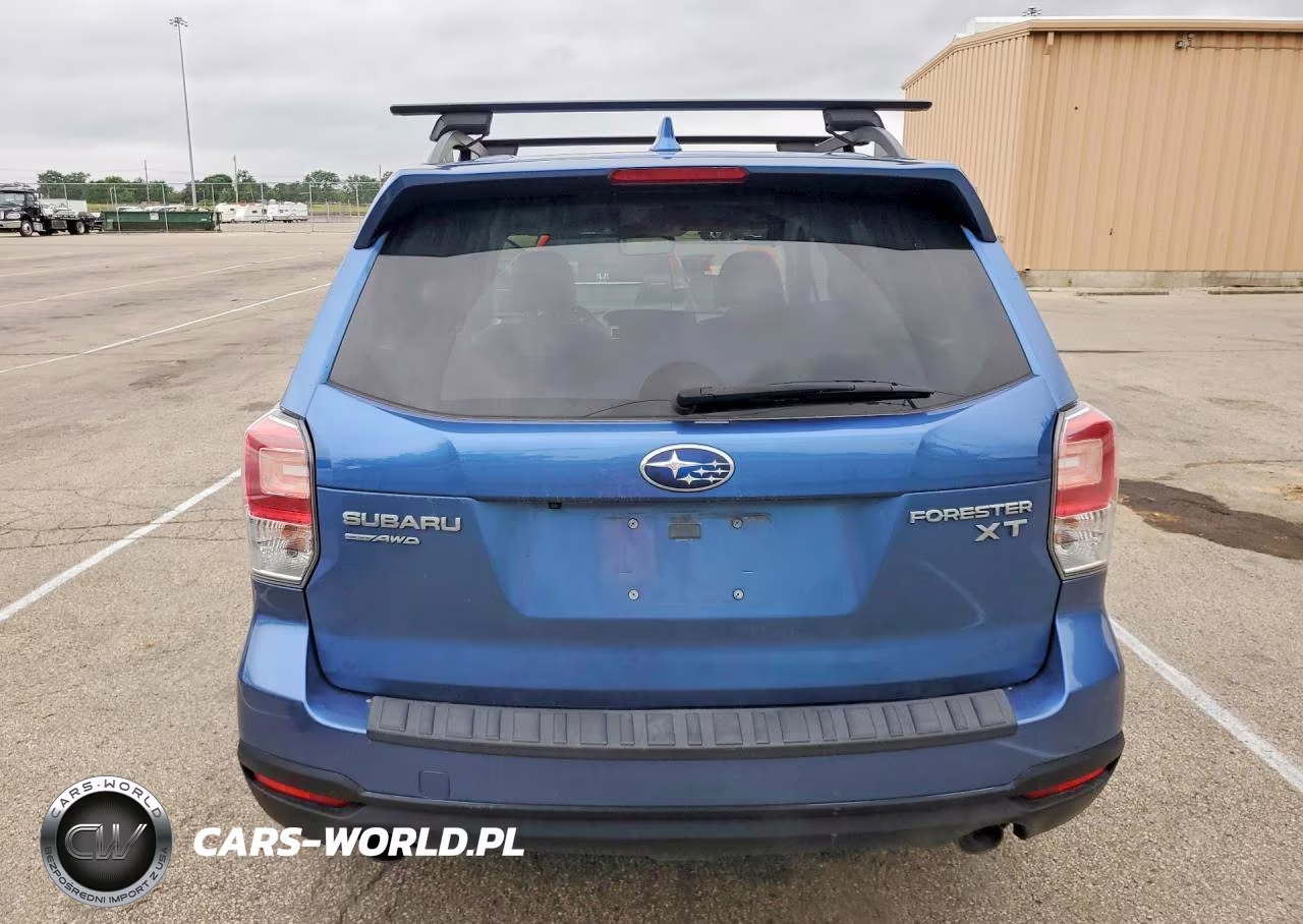 2017 Subaru Forester 2.0Xt Premium VIN:JF2SJGEC1HH800905 - 6