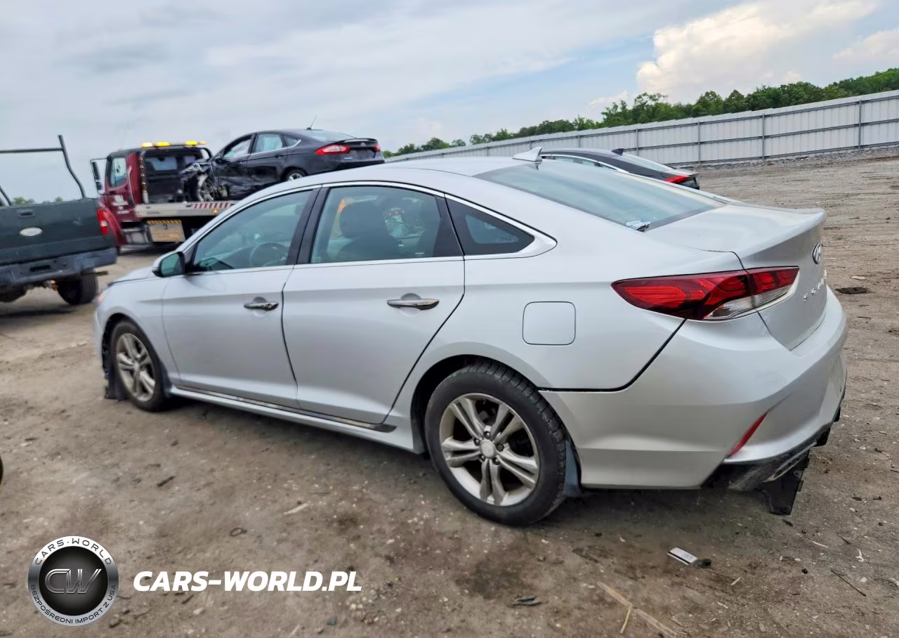 2019 Hyundai Sonata Sport VIN:5NPE34AF0KH807549 - 2