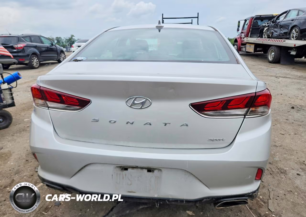 2019 Hyundai Sonata Sport VIN:5NPE34AF0KH807549 - 6