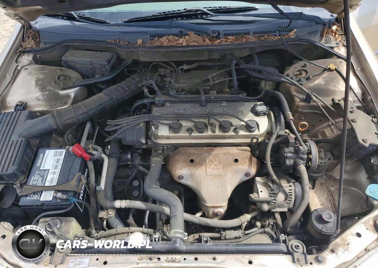 2000 Honda Accord Lx VIN:JHMCG5649YC018988 - 11