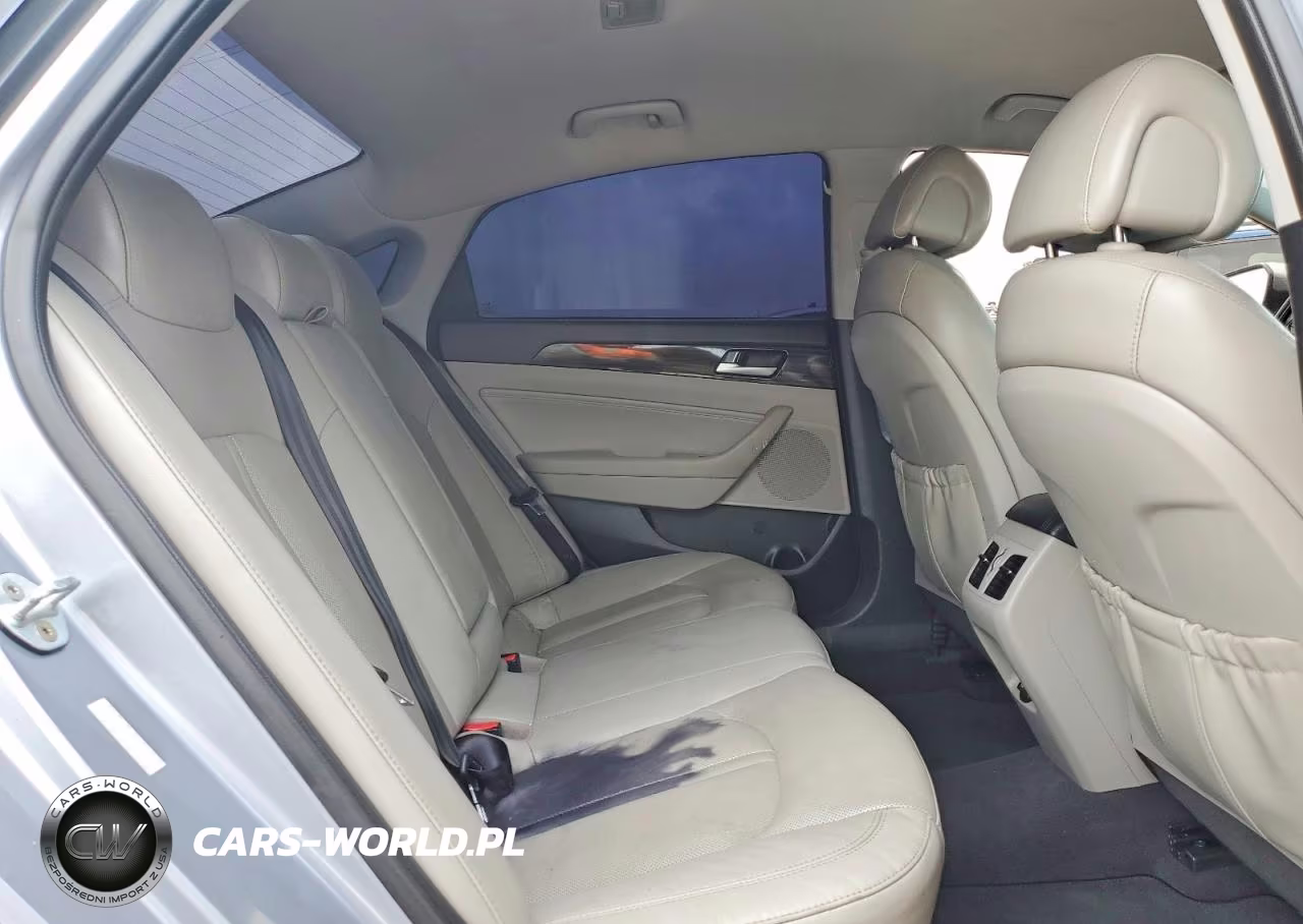 2016 Hyundai Sonata Plug-In Hybrid Limited VIN:KMHE54L29GA029847 - 10