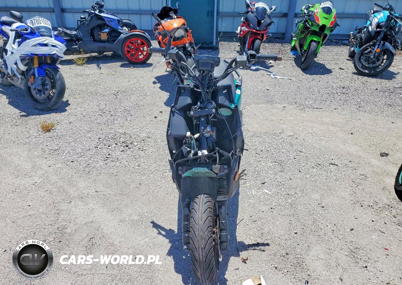 2024 Triumph Motorcycle Motrcycle VIN:H0DTAEFR8RX069874 - 2