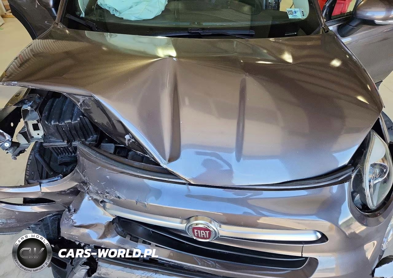 2016 Fiat 500X Trekking VIN:ZFBCFYCT7GP391894 - 12