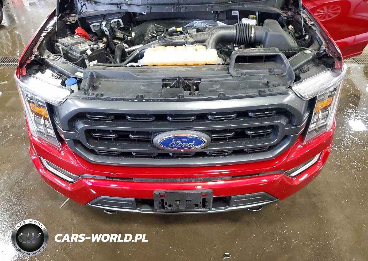 2021 Ford F150 Supercrew VIN:1FTEW1EPXMKD46437 - 11