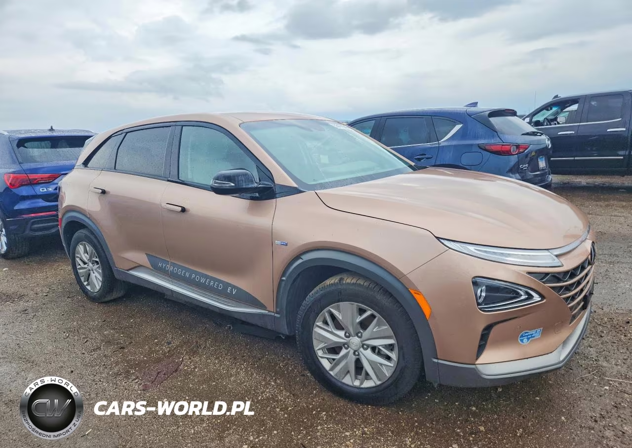 2021 Hyundai Nexo Blue VIN:KM8J74A64MU013838 - 4