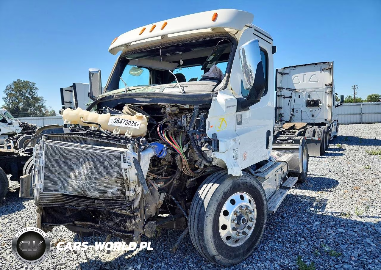 2024 Freightliner Cascadia 116 Semi Truck VIN:3AKBHTDV0RSVK1561 - 2
